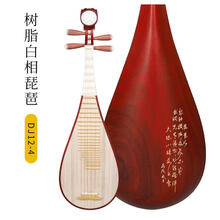 乐海 琵琶乐器考级演奏非洲紫檀材质木轴木相原木色花开富贵琵琶品质定制款 DJ12-4