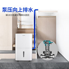 【京闪配送】新科(Shinco)除湿机家用除湿器地下室抽湿机大功率别墅工业除湿机 白色