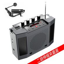 圣韵v306二胡神器2.4g无线扩音器乐器演出用立体声户外便携式 新款309带蓝牙 三喇叭 二胡专用