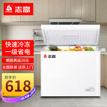 志高（CHIGO）小冰柜家用小型冷藏冷冻转换冷柜 商用大容量保鲜单温卧式冰箱 节能低噪【送货上门】 110升【省电款 一级能耗】