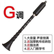 巴乌乐器竖吹专业演奏小学生初学入门大音量G/F调 单管乐器 G调+包+指法表+入门教学书