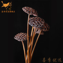 超值人气is手工云南干花树枝装饰莲蓬带籽客厅家居摆设三束 褐色 杆子75-90厘米 干花包（三只）
