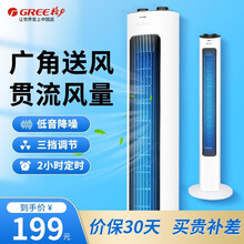 格力(GREE)格力电风扇/高颜值塔扇/家用台式落地扇/摇头轻音定时无叶风扇 FL-08X61g