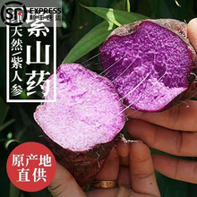 紫山药脚板薯江西赣南新鲜现挖紫山药淮山特产紫色大薯脚板薯毛薯新鲜蔬菜顺丰 精选3斤装紫山药