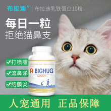 美国Jarrow布拉迪乳铁蛋白爵氏 成猫营养补充拉稀腹泻猫鼻猫咪幼猫传腹打喷嚏 布拉迪乳铁蛋白10粒（分拆装）