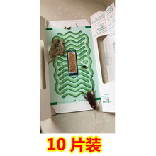 驱除壁虎 壁虎药驱壁虎神器家用室内驱虫驱除壁虎神器防去祛除驱逐捕捉贴 地上10装