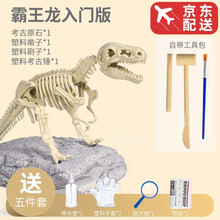 神童小子 恐龙化石考古挖掘玩具探索科学实验套装 霸王龙骨架模型儿童手工diy制作挖标本男女孩礼物 霸王龙简装版