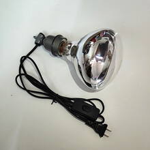 保温灯养殖取暖灯小鸡猪仔加热灯泡鸭鹅猪用水爆烤灯保暖灯泡 1.8米开关线+灯头+250W保温灯