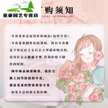 无货订购商品 商品搜索 京东