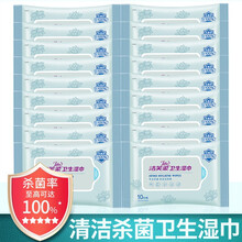 洁芙柔（JIFRO）卫生湿巾 家庭杀菌抑菌宝宝玩具无香便捷装 不粘手10片/包 10片*20包
