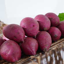 紫薯新鲜番薯农家板栗香红沙地薯糖心山芋 2斤 紫薯2斤