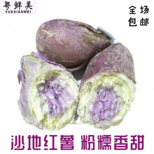 老农夫 【高州坡地番薯】新鲜冰淇淋红薯粉糯香甜板栗花心薯粉番薯一点红 5斤中薯冰淇淋【净重5斤】