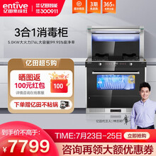 亿田（entive） 集成灶 家用一体灶 17.5超强吸力 国家一级能效 D6GX 集成灶消毒柜 D6GX 液化气