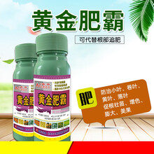 黄金肥霸叶面肥番茄辣椒黄瓜草莓保花保果肥料促生长膨大微量元素 3瓶【500克/瓶】