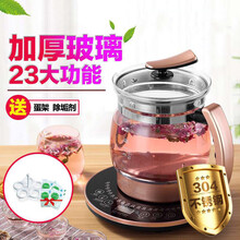 达洛优养生壶全自动加厚玻璃电煮茶壶中药壶煎药大容量2-2.5l黑茶小秋家 香槟金色+蛋架+除垢剂2包抢购二 2.5L