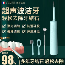 法国VLVEE牙结石去除器超声波洁牙器去牙结石电动家用洗牙器口腔牙齿清洁牙仪牙垢清除器便携 清新绿豪华版【3头+口镜+升级带灯】