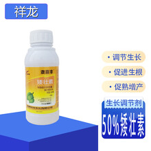 祥龙澳喜丰 50% 矮壮素缩节胺植物矮壮剂矮化剂花木风信子多肉控旺控稍生长调节剂 100克/瓶*50瓶