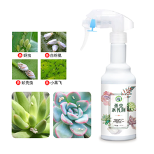 柯诺花卉杀虫剂红蜘蛛蚧壳虫植物专用药介壳多肉除虫剂蚜虫杀虫喷剂家用  多肉杀虫剂