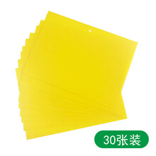 瓜果实蝇诱粘剂昆虫果蝇药黄板双面粘虫板针蜂引诱剂诱捕器 黄板(不带粘力)