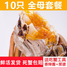 【活鲜】全母大闸蟹鲜活螃蟹活体特大现货礼盒装 塞红康尔 (全母2.8-2.3两)10只