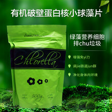 秒发 德国进口破壁蛋白核小球藻片绿藻营养细胞排*垃圾2000片