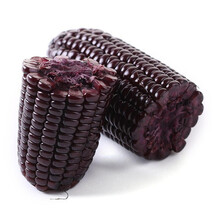 甜糯黑玉米棒10根黏糯玉米苞米真空包装健康早餐基地直发 黑玉米8根