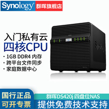 群晖（Synology）DS420j 四盘位NAS 磁盘阵列网络存储服务器 个人私有云网盘 黑色 个人和家庭用户 4盘位(无内置硬盘)