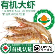 太湖海【有机大虾】无抗生素盐田虾渤海水产对虾类孕婴儿童宝辅生鲜年货 有机虾 400g(净重) *1盒