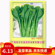凤鸣雅世蔬菜种子软化菊苣种子金玉兰种子 芥蓝种子红菜苔种子白菜苔种子粗条芥蓝种籽菜心种子菜种子春季菜 农科院49菜心种子40克