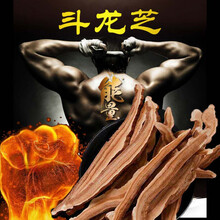 正 斗龙芝 西藏产 中药材斗龙芝灵芝片赤灵芝 大片3罐 +参片60克枸杞150克