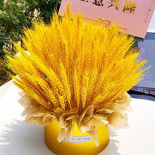 麦穗干花 天然大麦花束麦穗装饰摆件开业花篮麦穗花篮摆件（非质量问题不退不换） 大麦抱桶-金桶成品