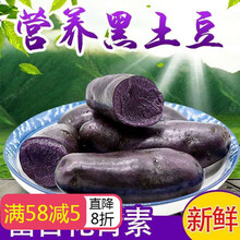 新鲜现挖黑土豆农家自产马铃薯黑洋芋黑金刚黑美人 黑土豆大果2两以上9斤装