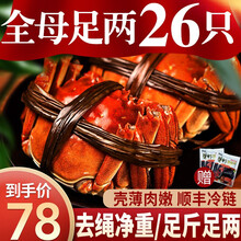 【活蟹】蟹阳坊大闸蟹鲜活螃蟹现货湖河蟹礼盒 全母蟹1.8-2.1两12只