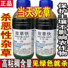 劲胜 强力除草剂敌草快斩草除根一扫光连根死白草苦果园除草灭草剂农药 900g