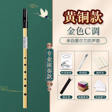 爱尔兰哨笛C调D调笛子初学儿童专业演奏高音直笛竖笛乐器小学生用 【NAOMI黄铜款】金色C调