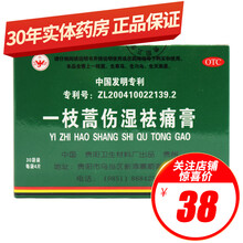 卫洁 一枝蒿伤湿祛痛膏 5cm*6.5cm*4片/袋*30袋 120片/盒用于风湿关节疼痛肌肉痛扭伤 标准装：1盒（30袋）