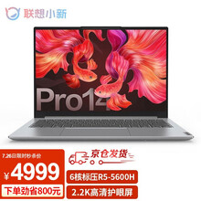 联想小新Pro14 锐龙R5标压八核2021款高性能R7全面屏轻薄办公笔记本电脑高色域游戏本 标配|R5-5600H 16G 512G固态 低蓝光护眼屏幕 2.2K高清sRGB