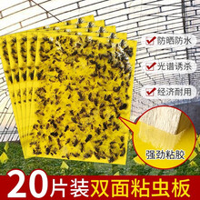 【强力】多规格黄板双面诱虫板粘虫板蓝板多尺寸小黑飞粘飞虫纸农用大棚粘虫板 黄色大号20张