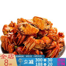 【活鲜】大闸蟹鲜活现货活体螃蟹六月黄海鲜水产全公母3两清水蟹河蟹毛蟹 塔布莫特 买8只+10只 共18只 只只有黄