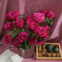 （linkinjoy） 单头玫瑰单色随机鲜花生活家居七夕生日礼物 基地直发 玫瑰16枝赠4枝防损（单色随机）