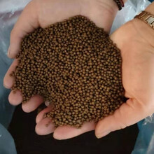 通威黄颡鱼饲料膨化配合饲料黄骨鱼昂刺鱼黄辣丁高蛋白40浮料 黄颡鱼专用料-1.5毫米 整包40斤