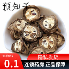 中药-预知子    1g