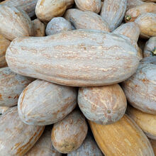 甜农家老南瓜甜糯黄南瓜长南瓜宝宝辅食多规格 10斤左右老南瓜带箱