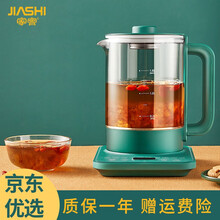 家实养生壶多功能电热烧水壶 复古绿 升级测温款【滤网+除垢剂】