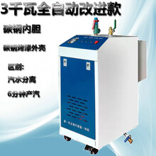 全自动电热蒸汽发生器节能锅炉服装熨烫豆浆蒸煮酿酒汗蒸消毒养护标努 3/kw全自动改进款