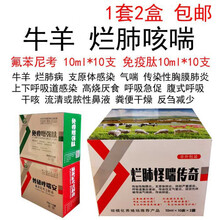 兽药兽用氟苯尼考注射液犊牛羊咳嗽喘康烂肺病气喘肺炎发烧不吃