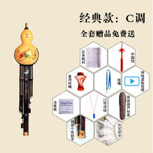 葫芦丝乐器初学c调降b调dgf演奏型小学生儿童天然紫竹 经典C调+