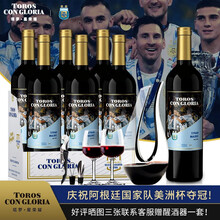【阿根廷足协官方赞助用酒！阿根廷驻上海总领事推荐用酒】门多萨产区原瓶原装进口红酒 干红葡萄酒整箱礼盒 星荣耀·经典马尔贝克西拉整箱750ml*6