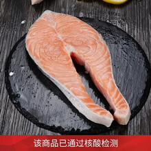 渔游记 冰鲜三文鱼中段 500g 轮切三文鱼新鲜分割三文鱼 500g