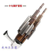 17簧14簧扩音笙乐器大全圆笙方笙修笙工具竽乐器笙包初学者 17簧扩音笙(紫竹白管)-D调